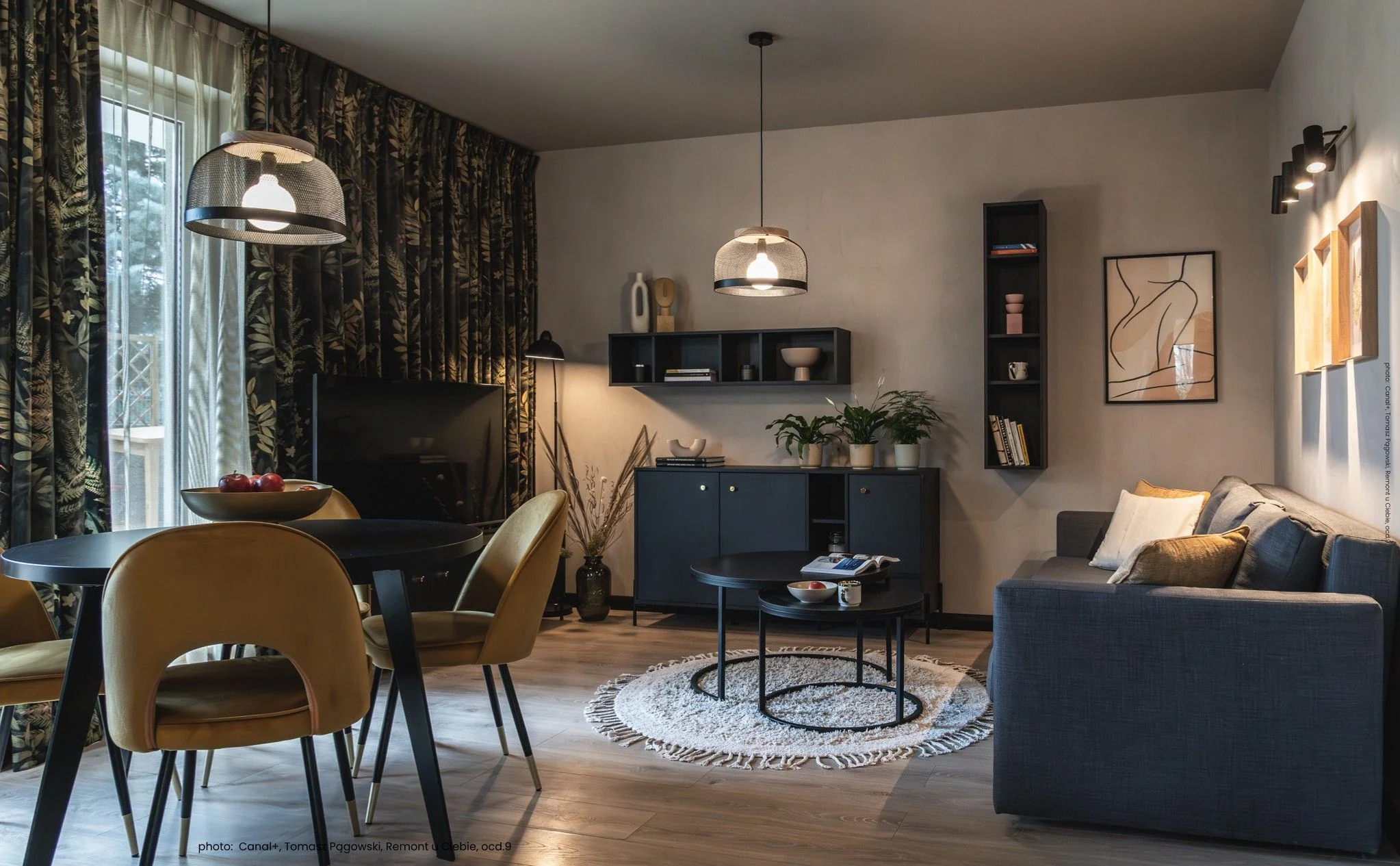 Transform Your Walls with Primacol